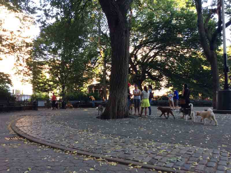 Stuyvesant Square Dog Run pet friendly