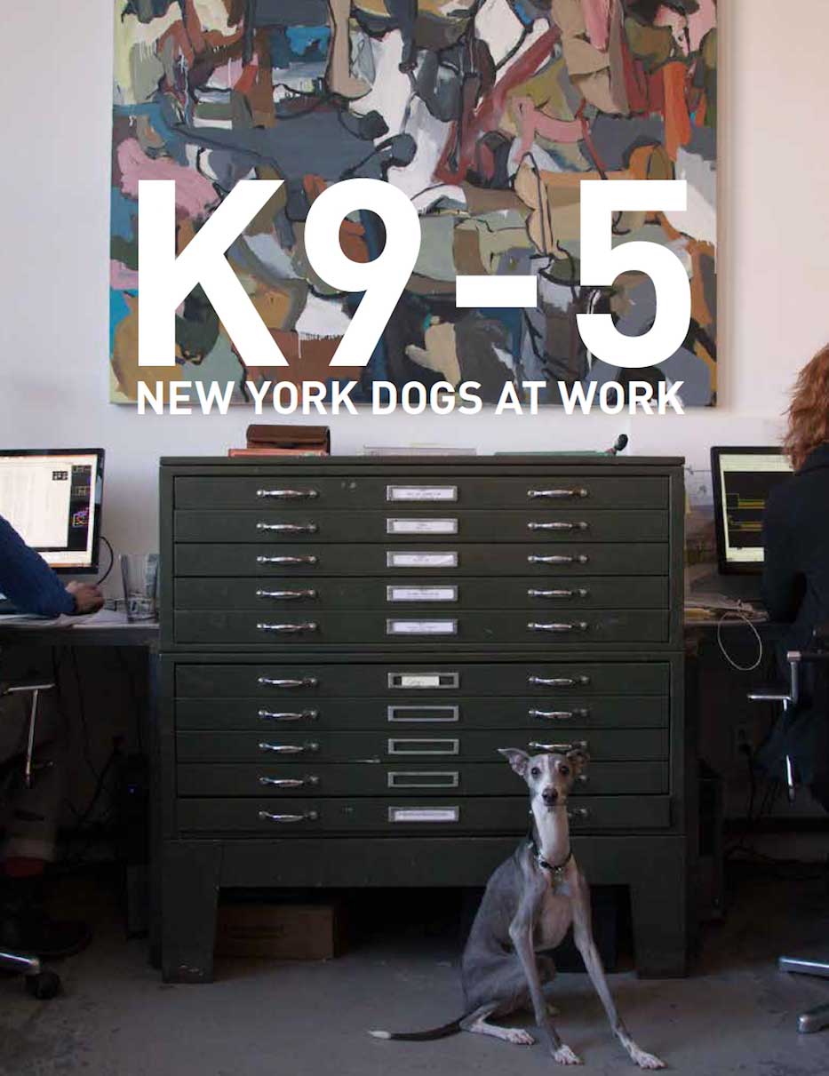 K 9 to 5 New York Dogs at Work