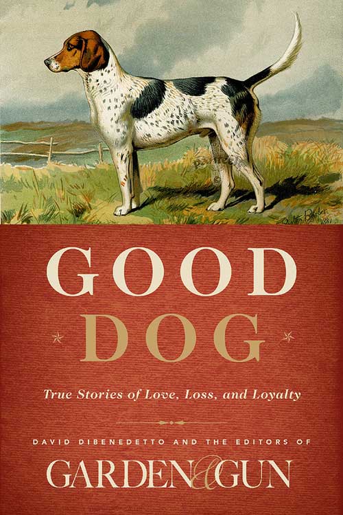 books about dogs