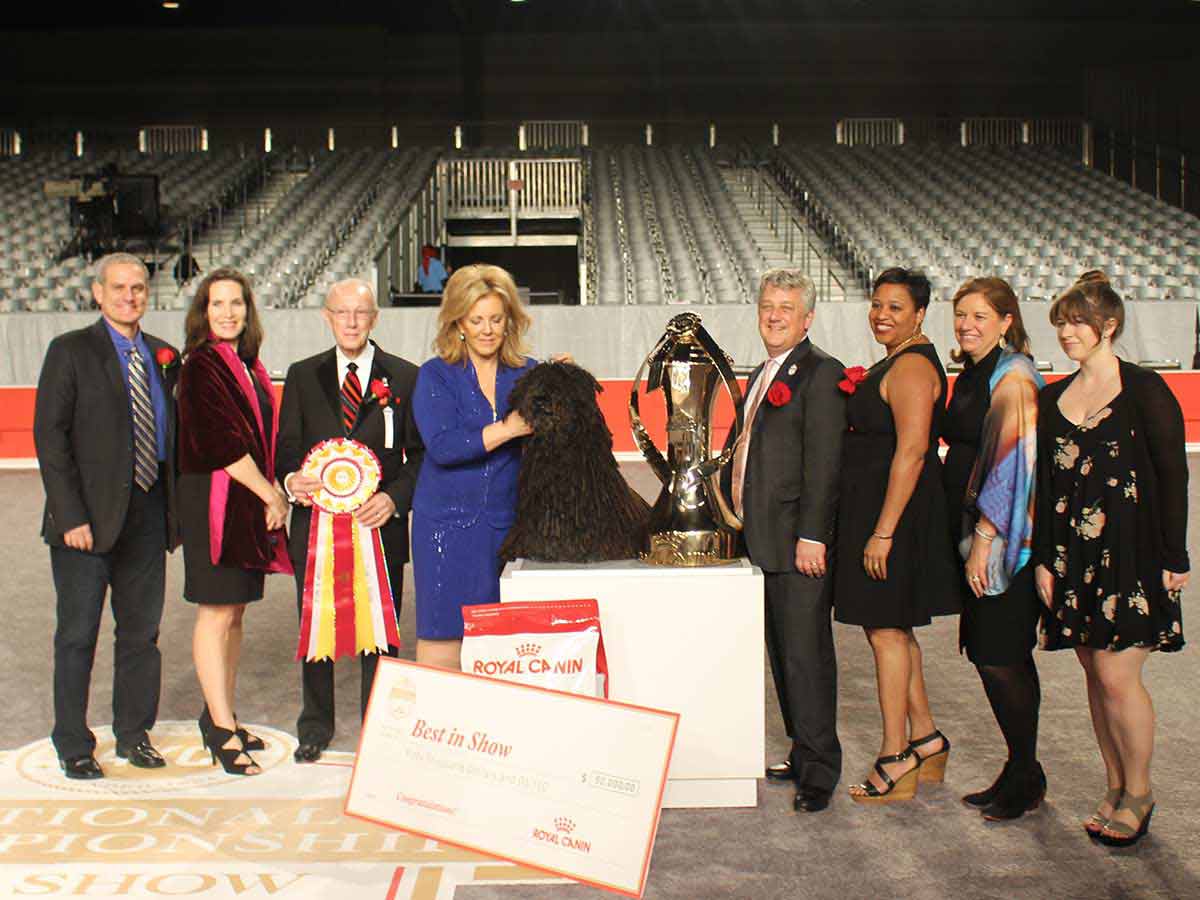 Ringside at the American Kennel Club National Championship
