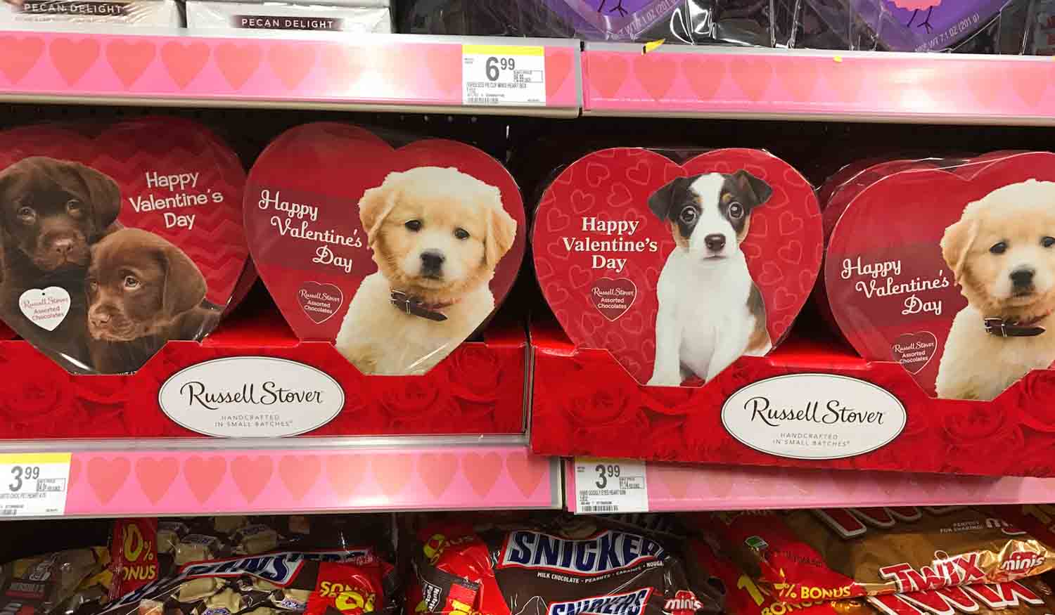 dogs and valentines candy