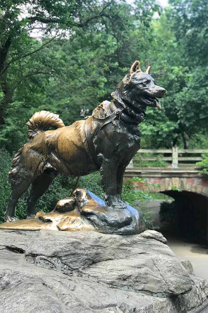 Balto and Other Statues of Dogs in New York City