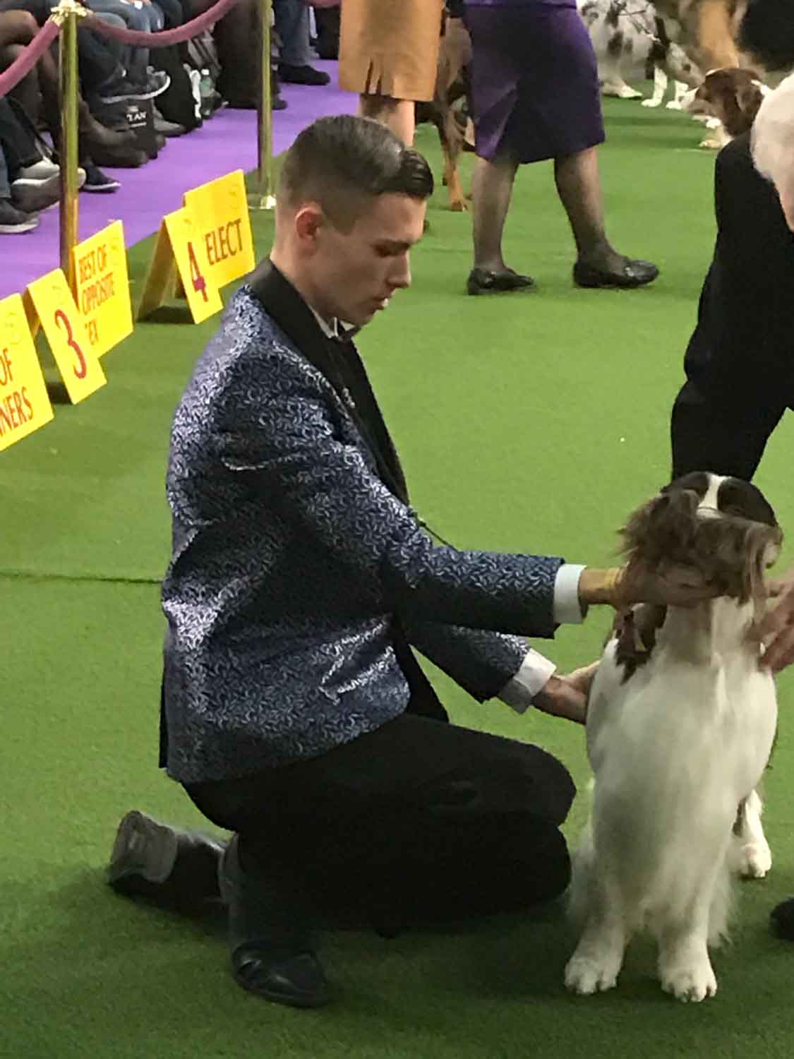 Westminster: Dog Show Handlers