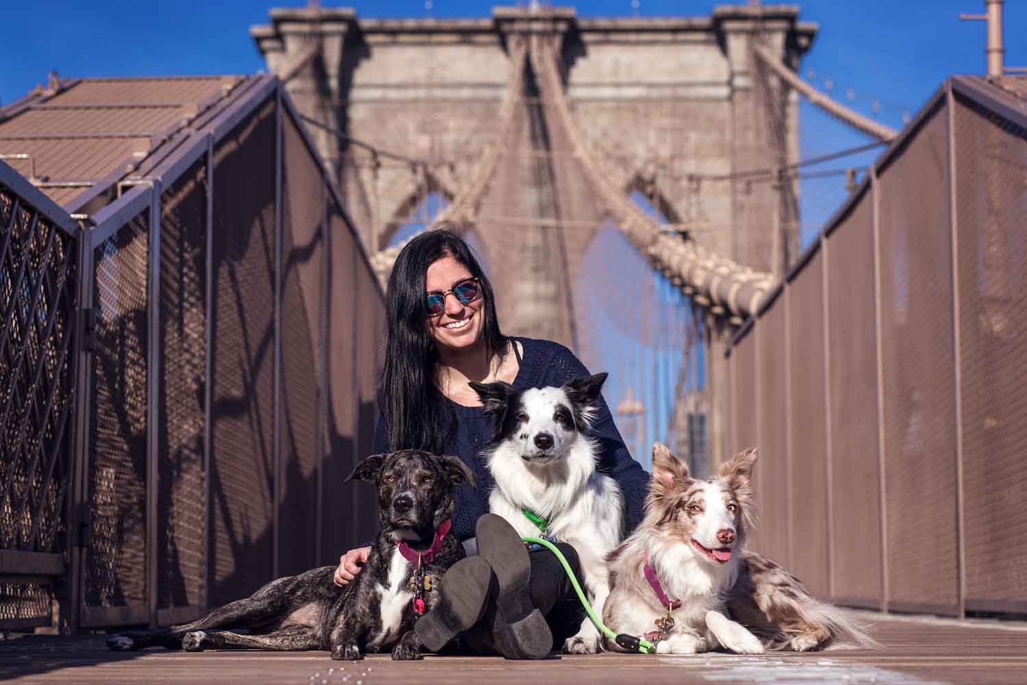 Things to do with Your Dog in NYC