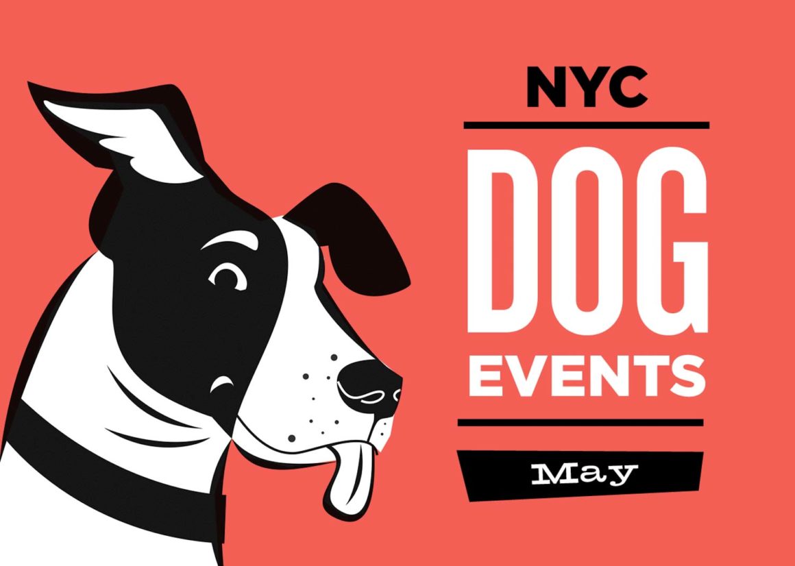NYC Dog Events May