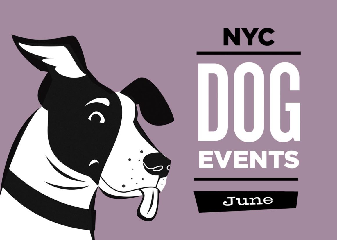 NYC Dog Events June
