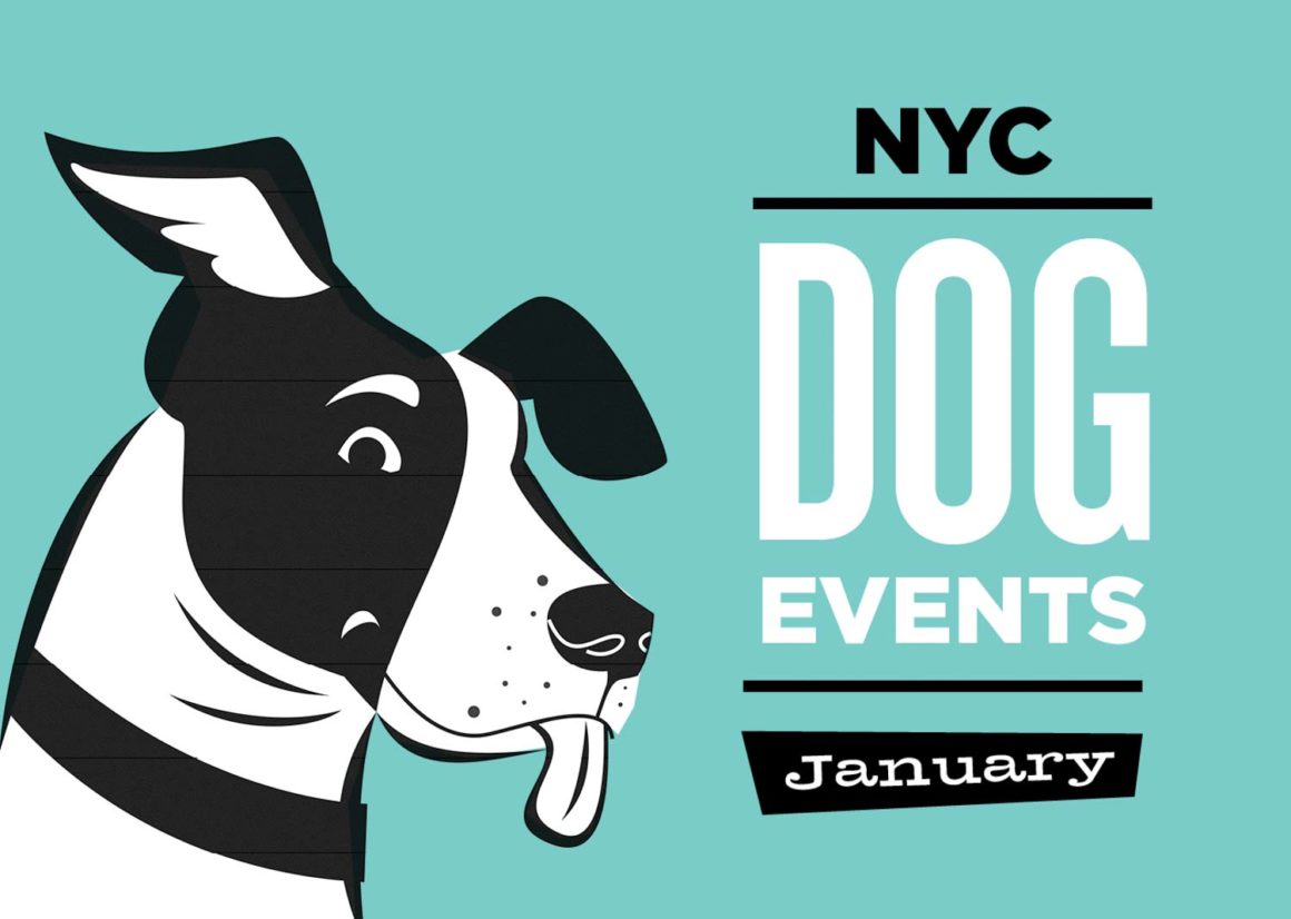 NYC Dog Events Calendar Jan