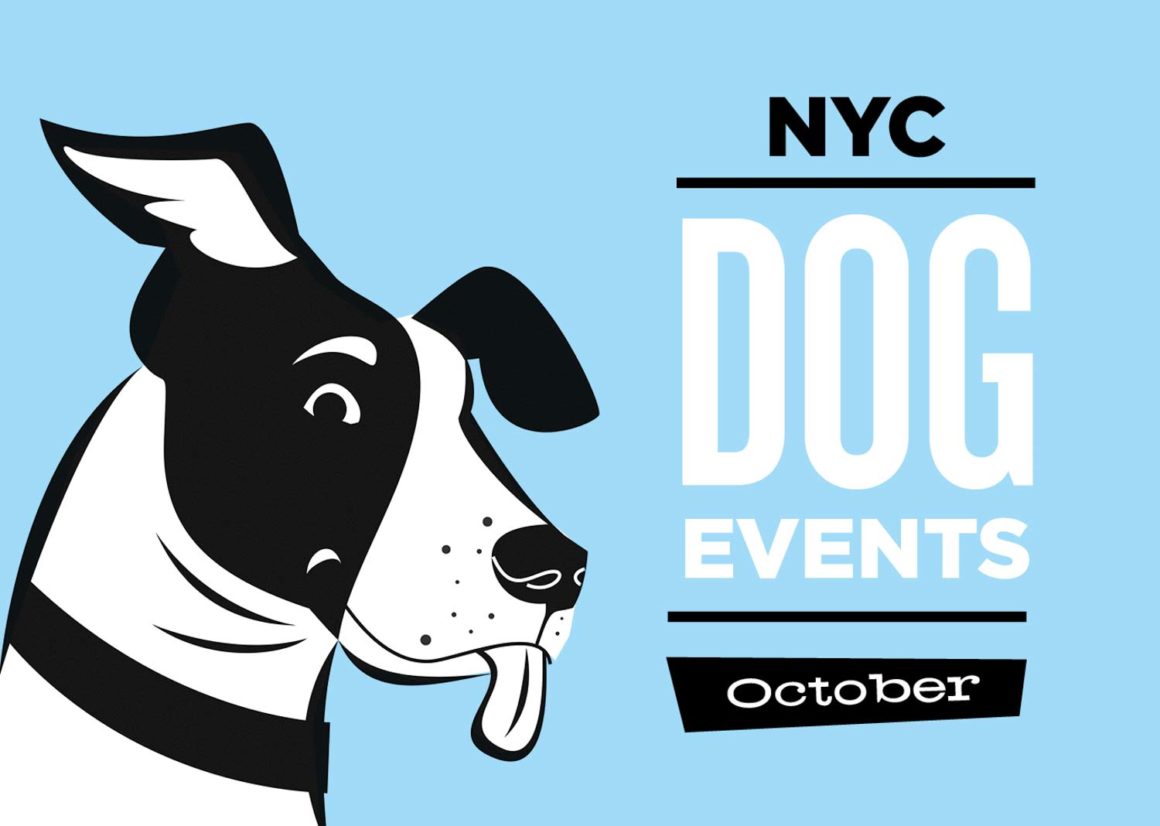 NYC Dog Events Calendar Oct
