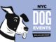NYC Dog Events Calendar Nov