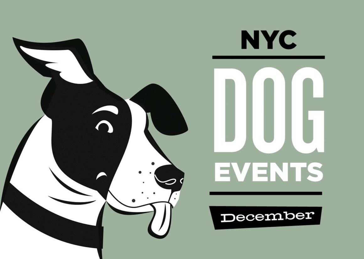 NYC Dog Events Calendar Dec