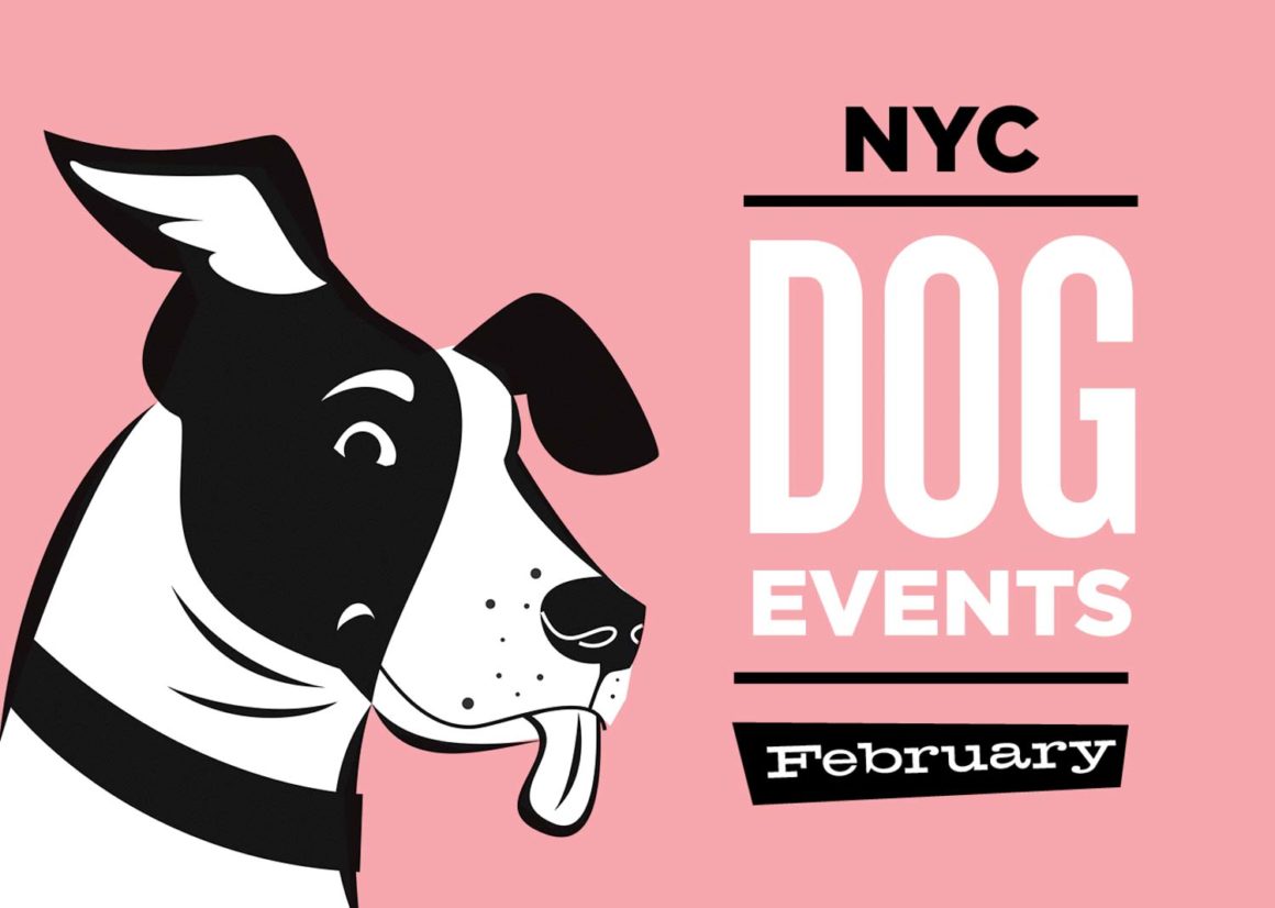 NYC Dog Events Calendar Feb