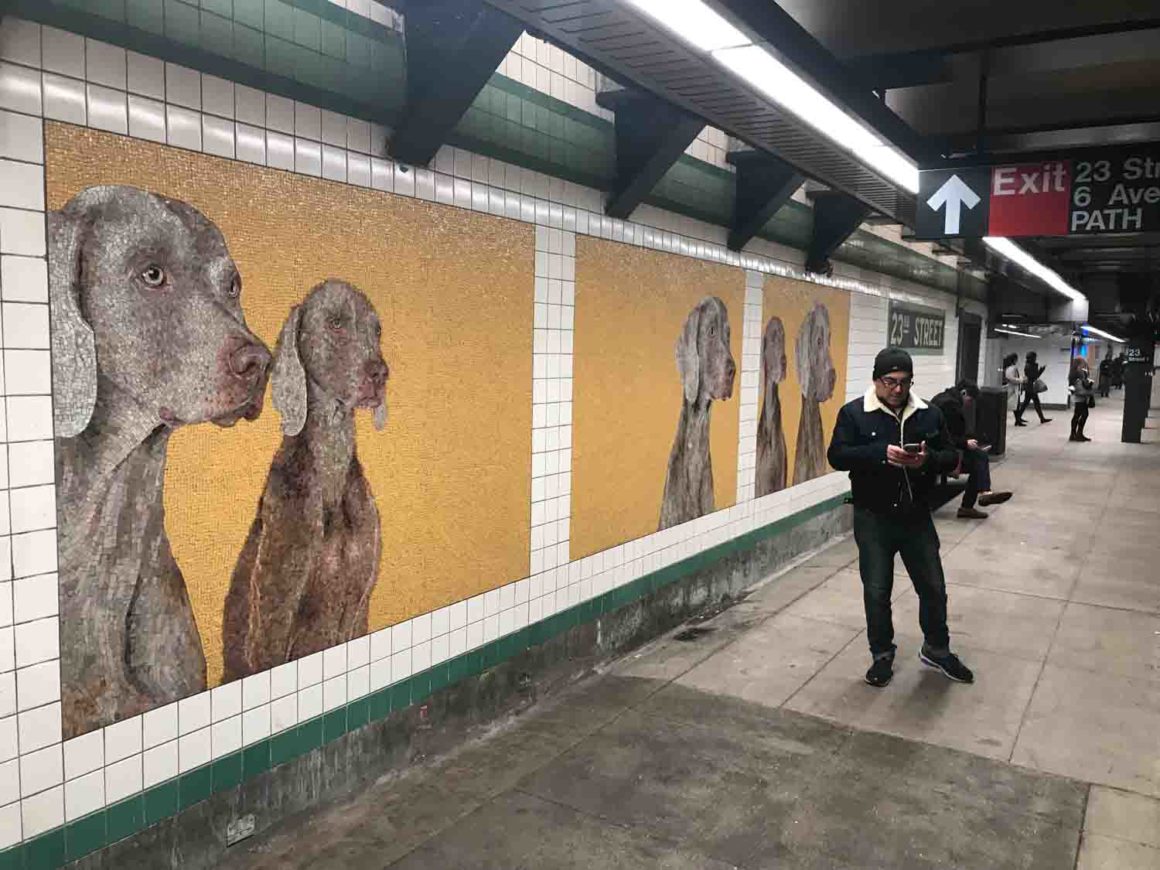 William Wegman Weimaraner Mosaics New York City Subway 23 Street